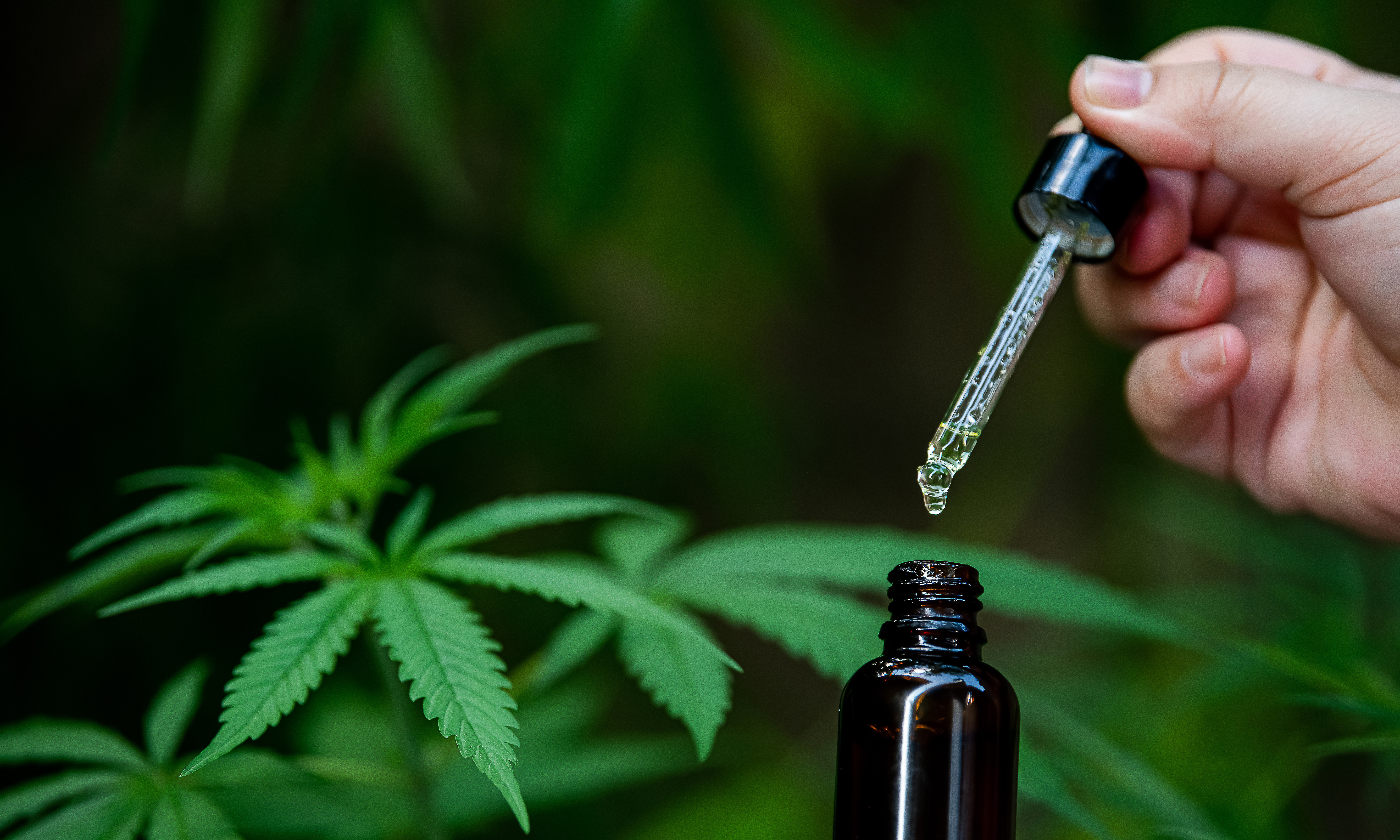 5 Quick Tips for Finding Safety & Effective CBD Products