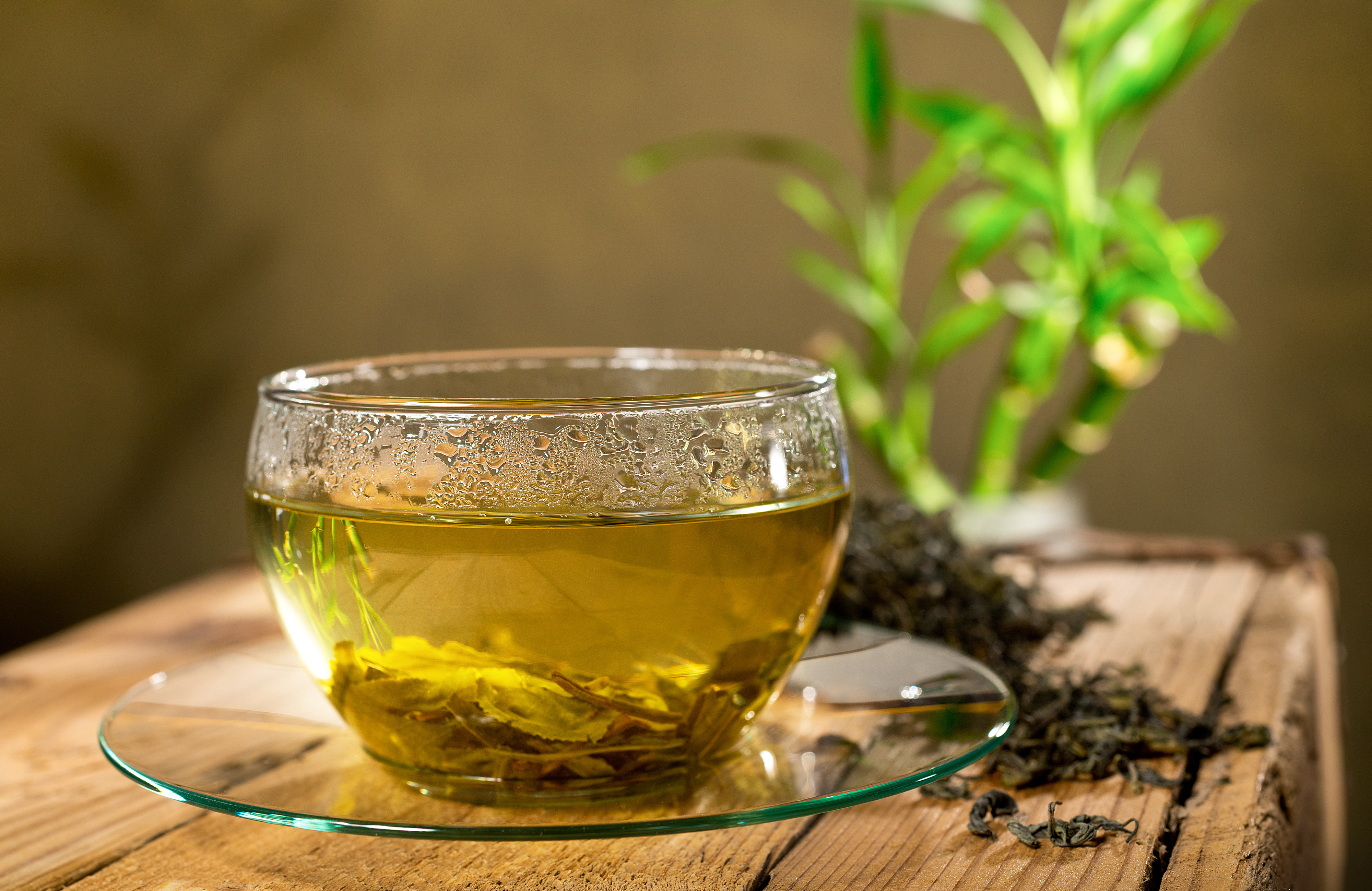 4 Reasons to Choose Seventh Hill Hemp Green Tea