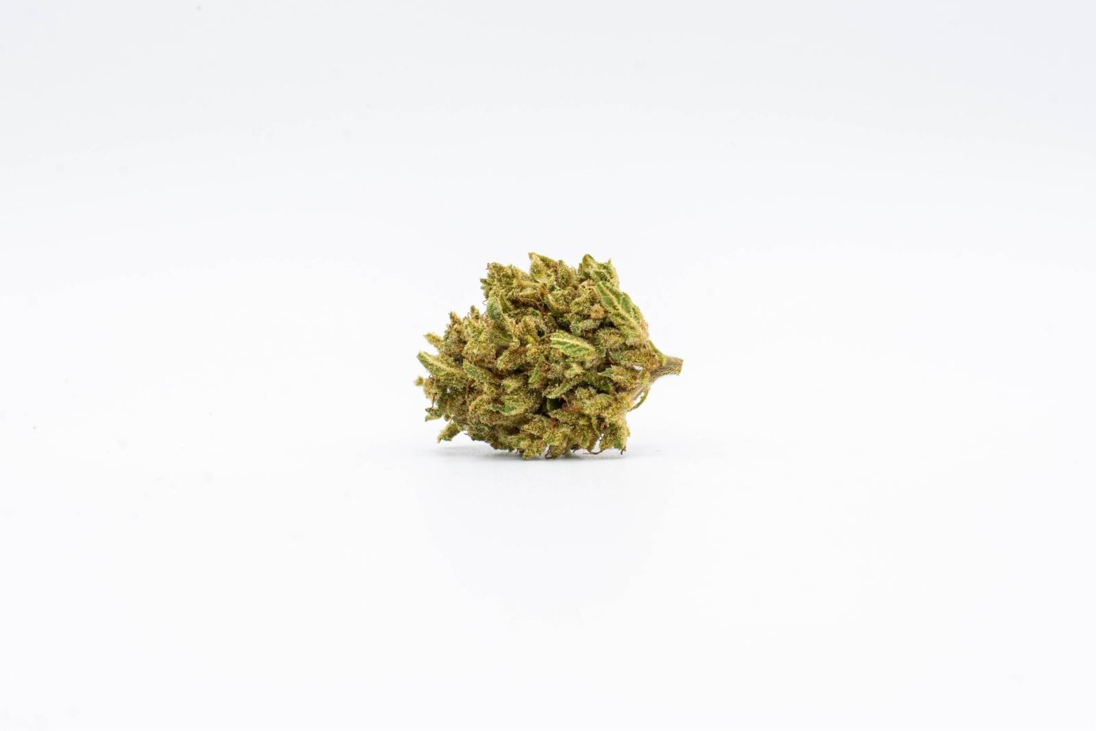A single nug of Sour Pineapple hemp flower by East Fork Cultivars, on a white background