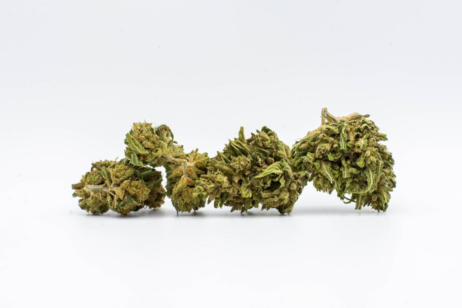 A group of Sour Pineapple hemp flower nugs by East Fork Cultivars, on a white background