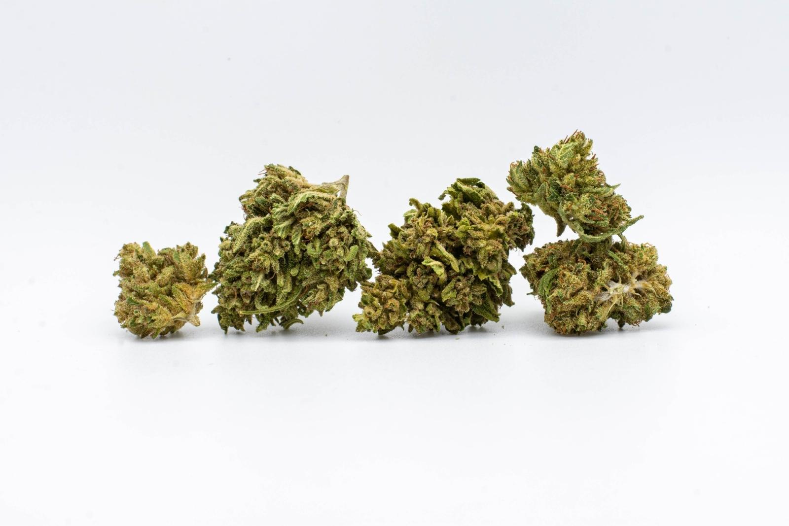 A group of Sour Pineapple hemp flower nugs by East Fork Cultivars, on a white background