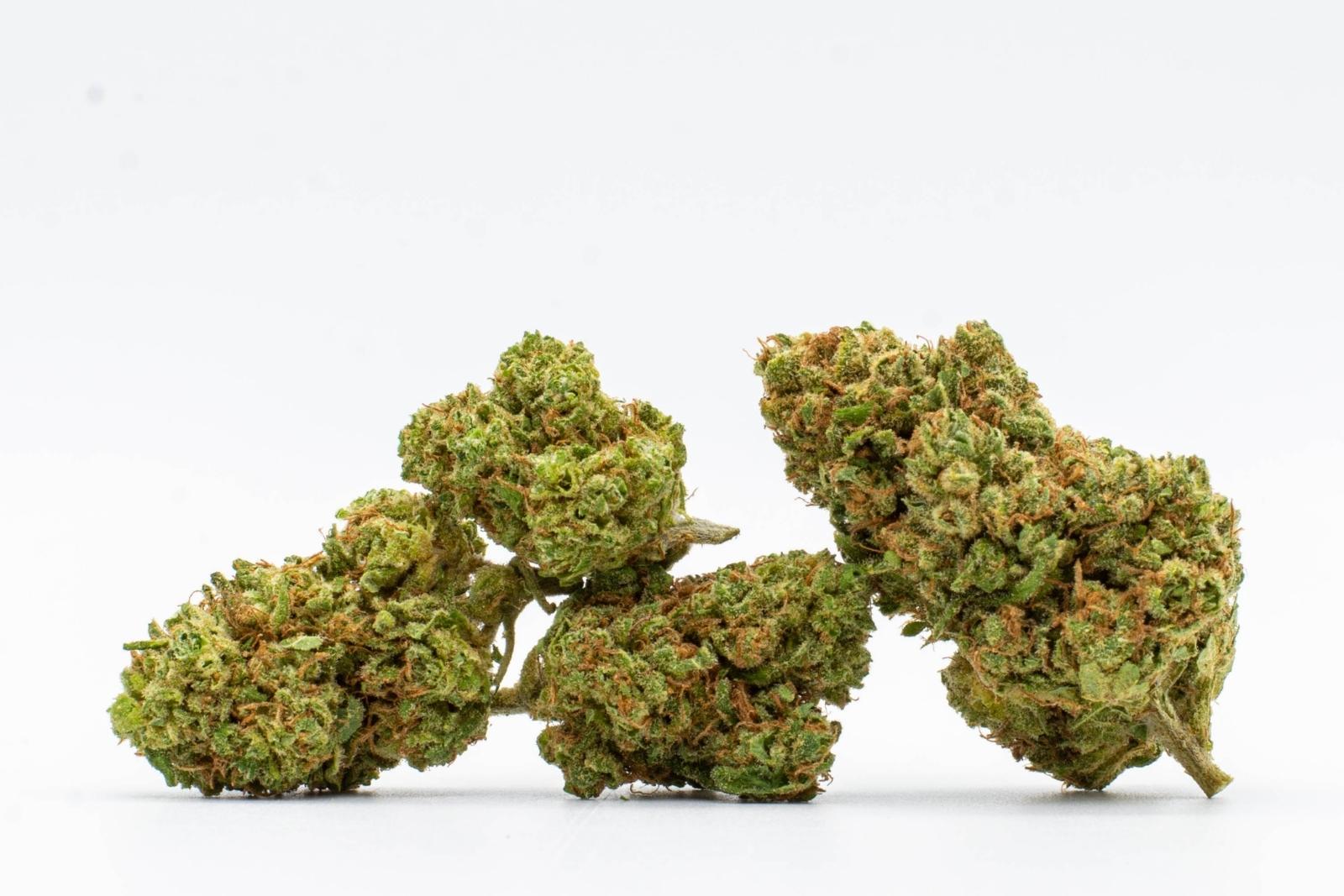A group of nugs of Blueberry hemp flower by Holy City Farms, on a white background