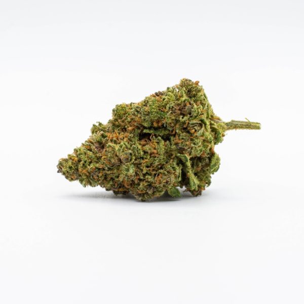 1 Pink Panther hemp flower bud laying down on a white background.