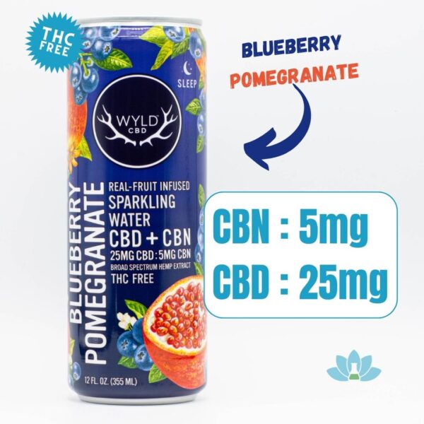 A can of Blueberry Pomegranate WYLD CBD Water on a white background