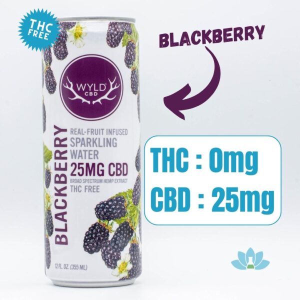 A can of Blackberry WYLD CBD Water on a white background