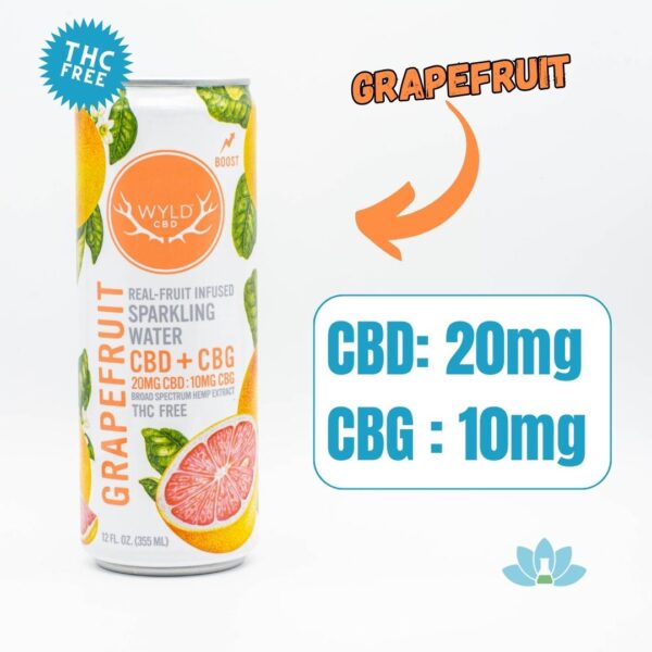 A can of Grapefruit WYLD CBD Sparkling Water on a white background