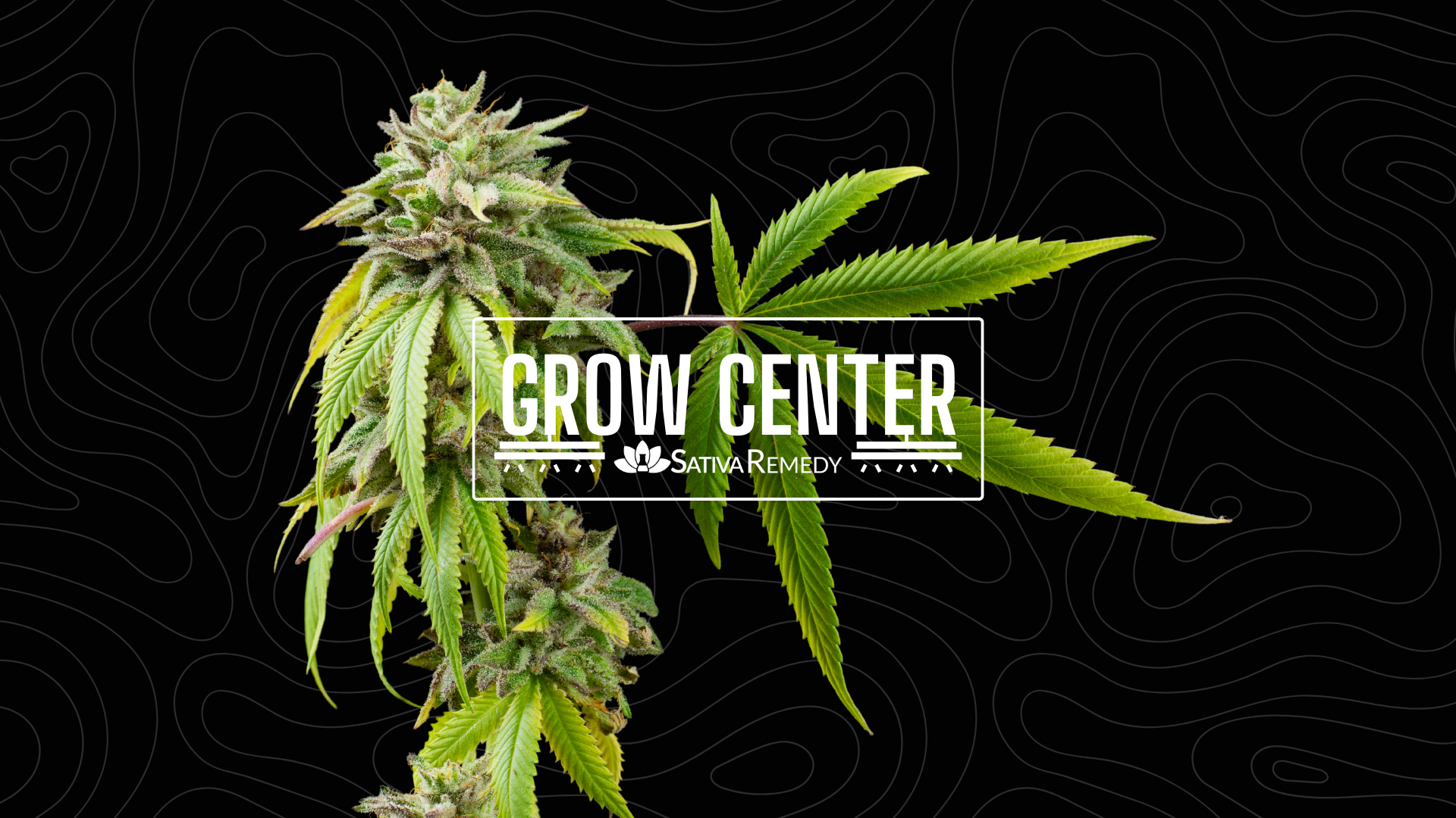 What is the Sativa Remedy Grow Center?