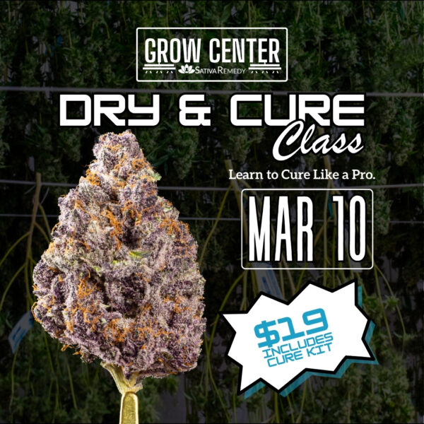 A photo of a cannabis flower on a black background with the title, "Dry and Cure Class, March 10th"