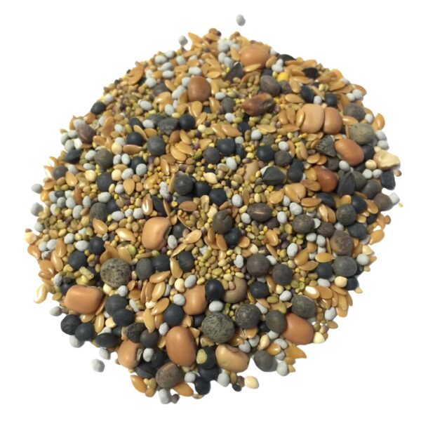 A pile of seeds from BuildASoil Cover Crop Blend, on a clear background