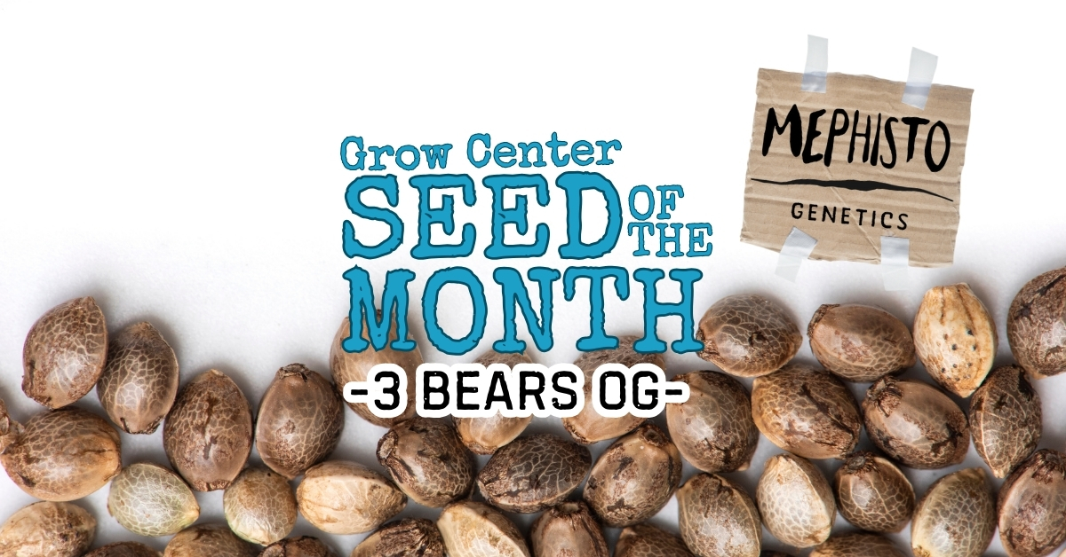SRG Center Seed of the Month