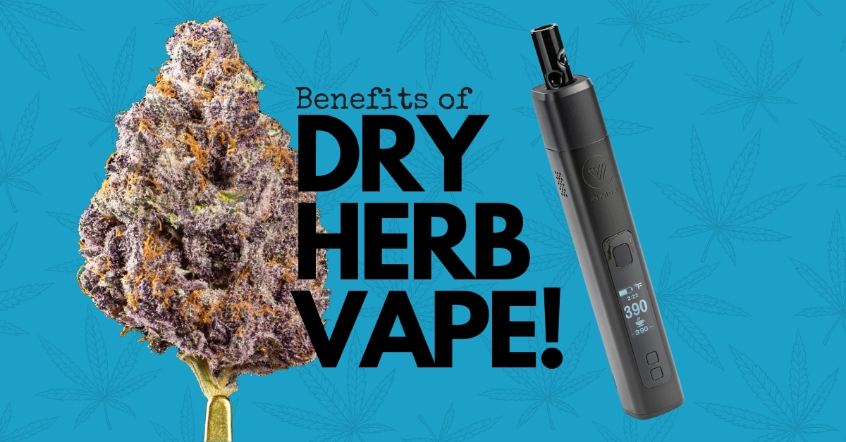 Unlocking the Benefits of Dry Herb Vaping