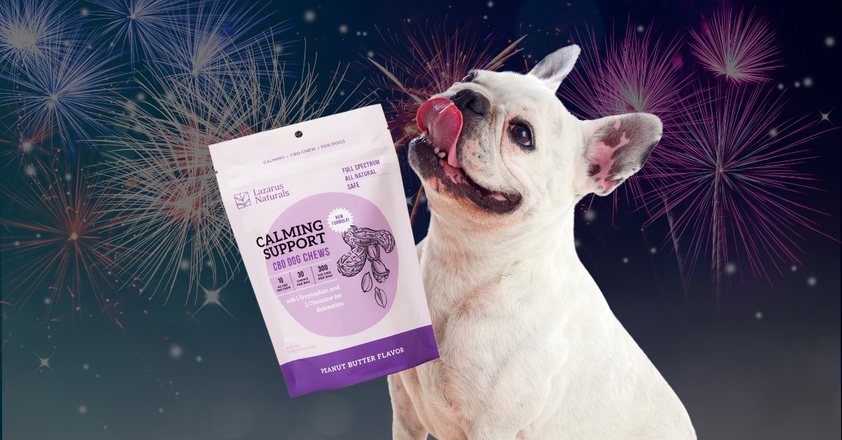 Can CBD Help Keep Your Pets Calm During Fireworks?