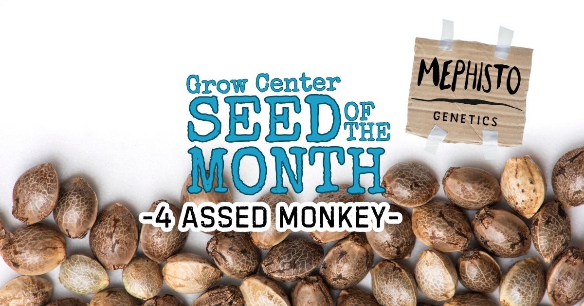 SRG Center Seed of the Month for August