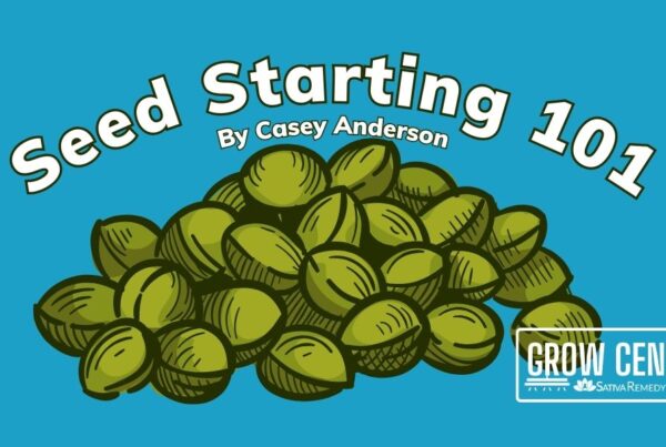 A Blue background with the title "seed starting guide." Also a picture of cannabis seeds.